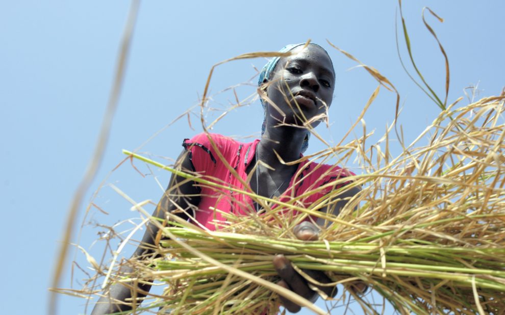 Burkina Faso: acabar con las desigualdades entre hombres y mujeres en materia de acceso a la tierra