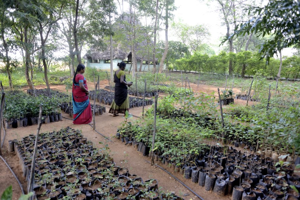 Les plus exclu.e.s associé.e.s à la bataille contre l’agrochimie et pour une agriculture paysanne biologique en Inde